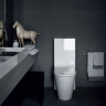 Унитаз напольный LAUFEN KARTELL (без бачка) безободковый 8.2333.6.000.000.1