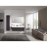 Унитаз подвесной LAUFEN PRO S RIMLESS 8.2096.2.000.000.1